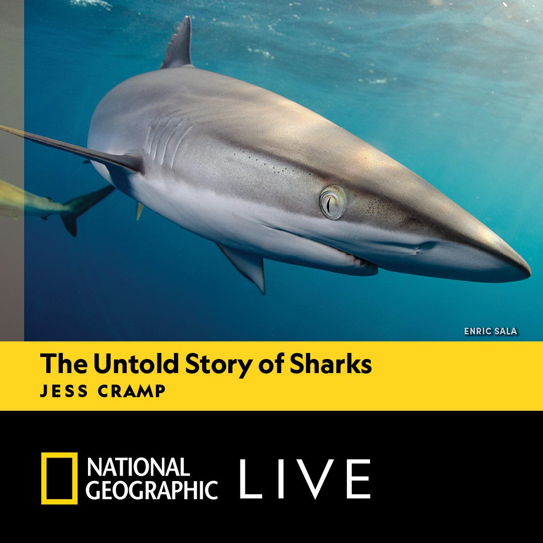 The Untold Story of Sharks: Jess Cramp｜National Geographic Live